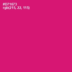 #D71673 - Razzmatazz Color Image