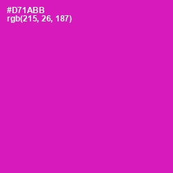 #D71ABB - Hollywood Cerise Color Image