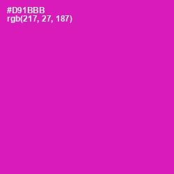 #D91BBB - Hollywood Cerise Color Image