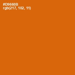 #D9660B - Bamboo Color Image