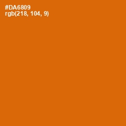 #DA6809 - Bamboo Color Image