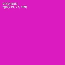 #DB1BBD - Persian Rose Color Image