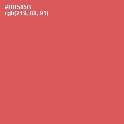 #DB585B - Chestnut Rose Color Image