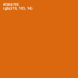 #DB670E - Bamboo Color Image