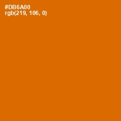 #DB6A00 - Bamboo Color Image