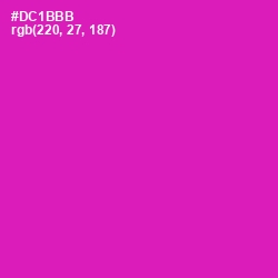 #DC1BBB - Persian Rose Color Image