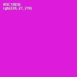 #DC1BDB - Shocking Pink Color Image