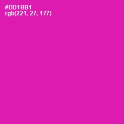 #DD1BB1 - Persian Rose Color Image