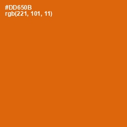 #DD650B - Bamboo Color Image