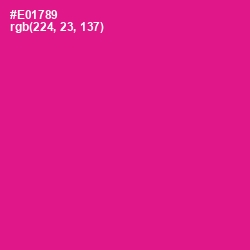 #E01789 - Red Violet Color Image