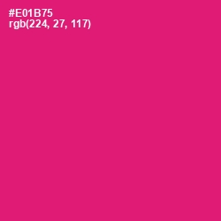 #E01B75 - Rose Color Image
