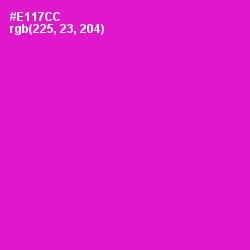 #E117CC - Shocking Pink Color Image