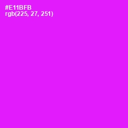 #E11BFB - Magenta / Fuchsia Color Image