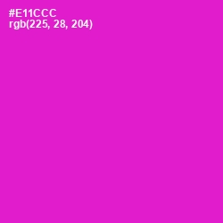 #E11CCC - Shocking Pink Color Image
