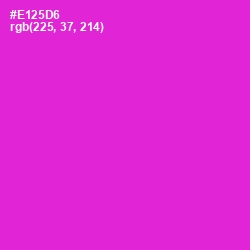 #E125D6 - Razzle Dazzle Rose Color Image