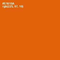 #E1610A - Clementine Color Image