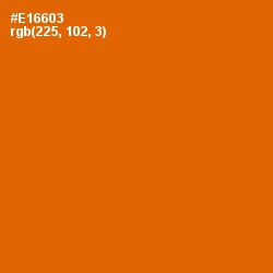 #E16603 - Clementine Color Image