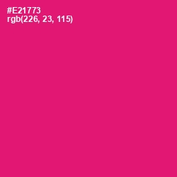 #E21773 - Rose Color Image