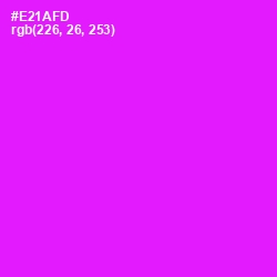 #E21AFD - Magenta / Fuchsia Color Image