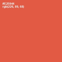 #E25944 - Sunset Orange Color Image