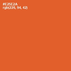 #E25E2A - Flamingo Color Image