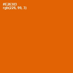 #E26303 - Clementine Color Image
