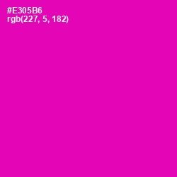 #E305B6 - Hollywood Cerise Color Image
