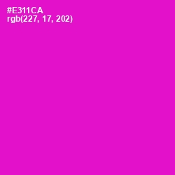 #E311CA - Shocking Pink Color Image