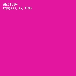 #E3169F - Hollywood Cerise Color Image
