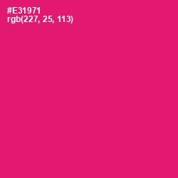 #E31971 - Rose Color Image