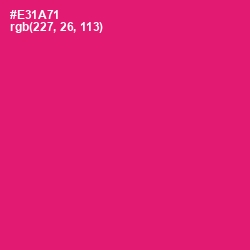 #E31A71 - Rose Color Image