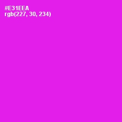 #E31EEA - Magenta / Fuchsia Color Image