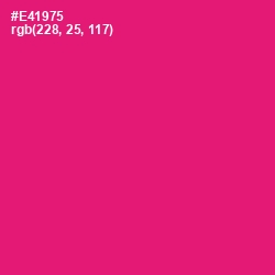 #E41975 - Rose Color Image