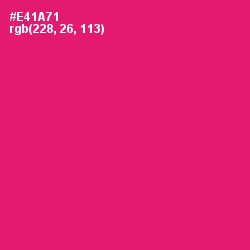 #E41A71 - Rose Color Image