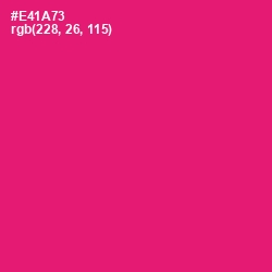 #E41A73 - Rose Color Image