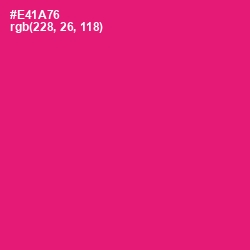 #E41A76 - Rose Color Image