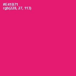 #E41B71 - Rose Color Image