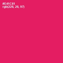 #E41C61 - Rose Color Image