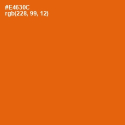 #E4630C - Clementine Color Image