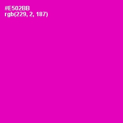 #E502BB - Hollywood Cerise Color Image