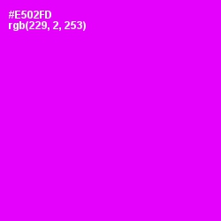 #E502FD - Magenta / Fuchsia Color Image