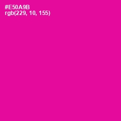 #E50A9B - Hollywood Cerise Color Image