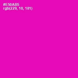 #E50AB5 - Hollywood Cerise Color Image