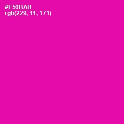 #E50BAB - Hollywood Cerise Color Image