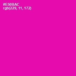 #E50BAC - Hollywood Cerise Color Image