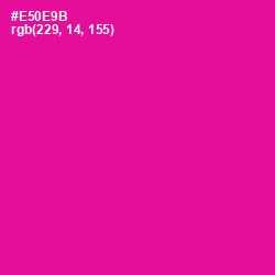 #E50E9B - Hollywood Cerise Color Image