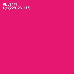 #E51771 - Rose Color Image