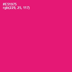 #E51975 - Rose Color Image