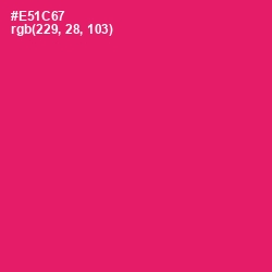 #E51C67 - Rose Color Image