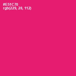 #E51C70 - Rose Color Image